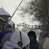 Immagine 131.jpg - 