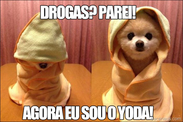 [DROGAS-PAREI-YODA%255B6%255D.jpg]