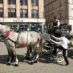Krakow 046.JPG