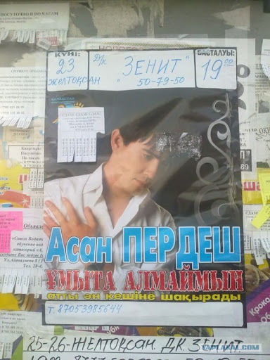 post-3-13239798398486.jpg