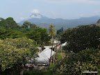 Limbe