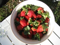 IMG_2574 IMG_2574