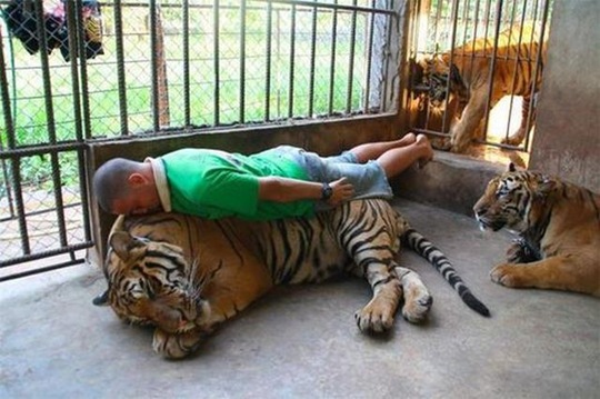 [viral-picdump-pics-12%255B2%255D.jpg]