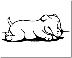 Cachorro 8