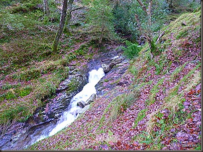 P1120475 P1120475