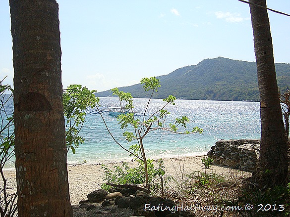 Under the coconut trees