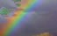 [rainbow2---65x417.jpg]
