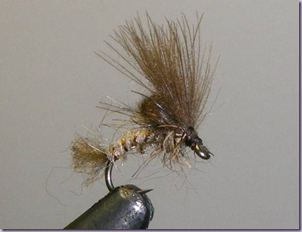 clip_image018 clip_image018