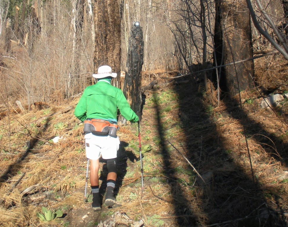 [DSCN2250%255B4%255D.jpg]