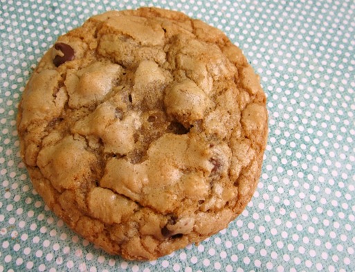 chocolate_chip_cookie_3