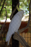 IMG_0475.JPG