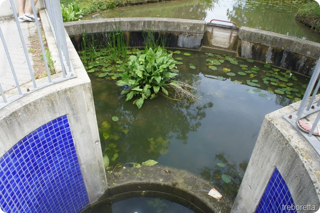 DSC00083 DSC00083