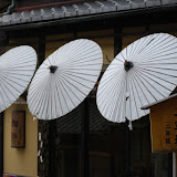 DSC_0230.JPG