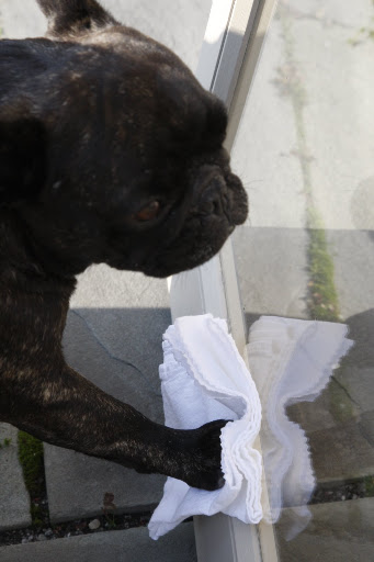 With this nice soft cloth, I'm making the glass really shine!