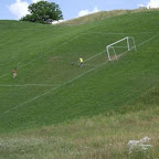 359.jpg
