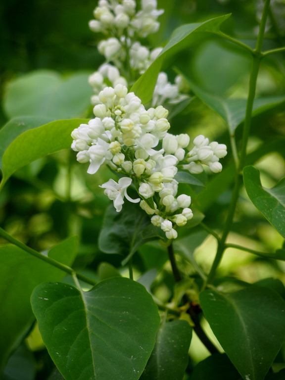 [13%2520June%25201%252013-06-2013%252011-20-26%255B3%255D.jpg]