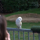 Cub Pack Holiday - Skreens Park 2012 - DSC_0142.jpg