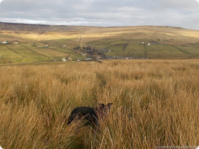 nearly at rookhope nearly at rookhope