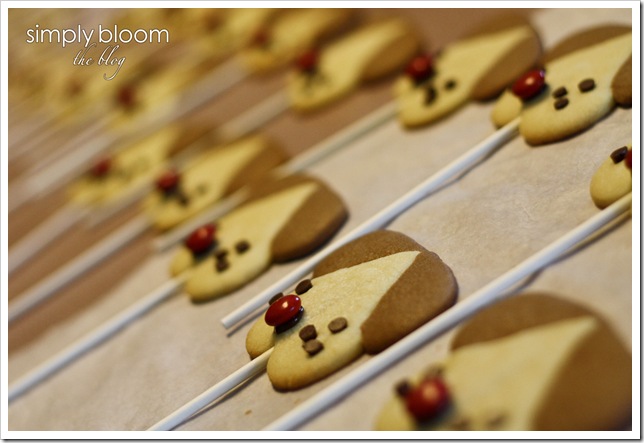 puppy pops (5 of 1)