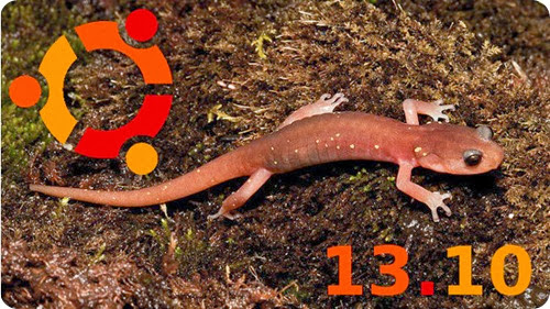 ubuntu-1310-saucy-salamander ubuntu-1310-saucy-salamander