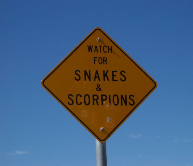 [snakes-and-scorpions-73141289450846K%255B2%255D.jpg]