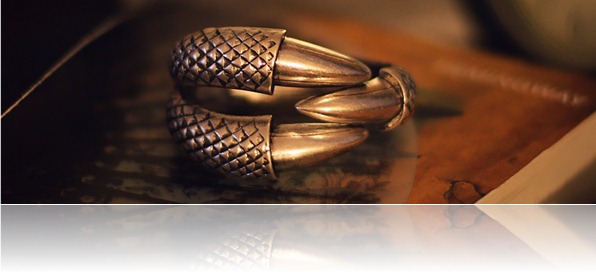 Claw-Bracelet Claw-Bracelet