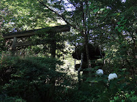 DSC00358.JPG Photo