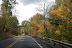 16-Saturday Drive