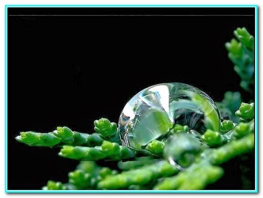 [Gota%2520de%2520jovialidade%255B5%255D.jpg]