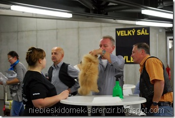 DSC_0515 DSC_0515