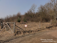 dsc07049.jpg