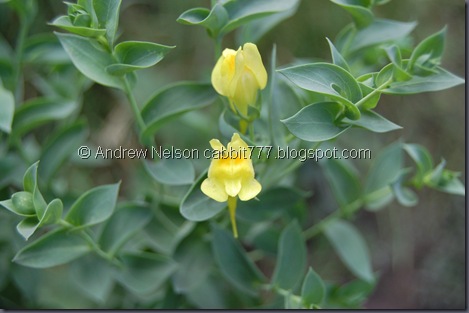 DSC_0050 DSC_0050