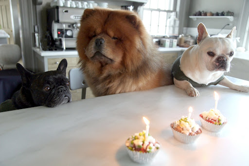 Wow, is this for little old moi?  I was afraid you two had forgotten my birthday again!