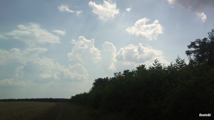 2013-07-19 15.24 2013-07-19 15.24