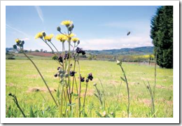 Enjoy the Naturally Beautiful Devon Countryside