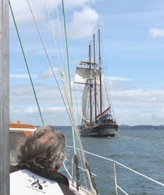 Freewind sailing with tall ships