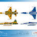 © Luís André Werlang | www.aviacao.art.br tela_fab_f5e_30anos.jpg