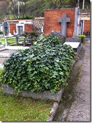 IMG_1020 IMG_1020