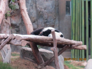 IMG_0218 IMG_0218