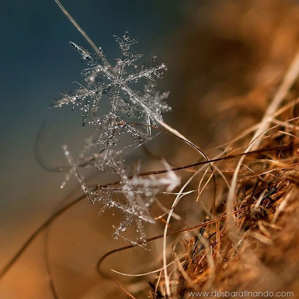 flocos-de-neve-macro-snowflakes-macro-photography-andrew-osokin-desbaratinando (7)