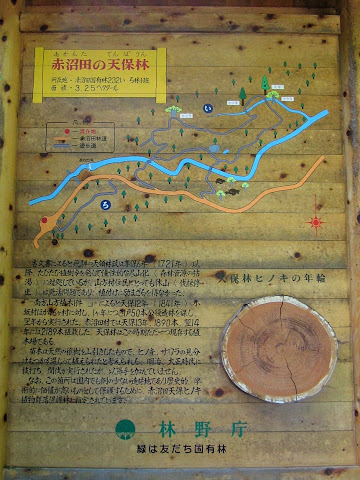 赤沼田天保林案内図