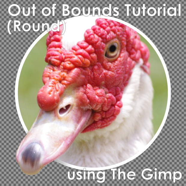[Round-Out-of-Bounds-Tutorial-Splash-%255B1%255D.jpg]