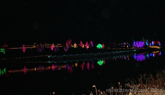dec2011 139