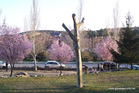 parque_026.jpg