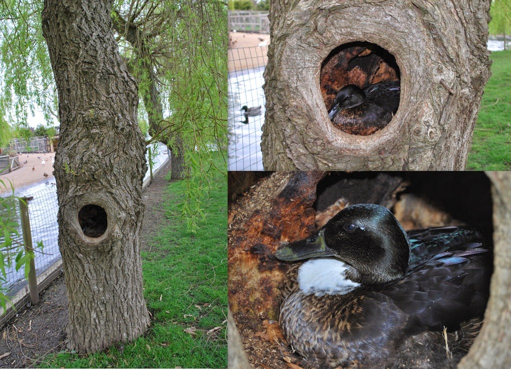 [FB%2520%2526%2520Blog%2520Pictures%2520etc8%255B6%255D.jpg]