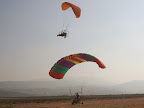 p1255399325(7).jpg