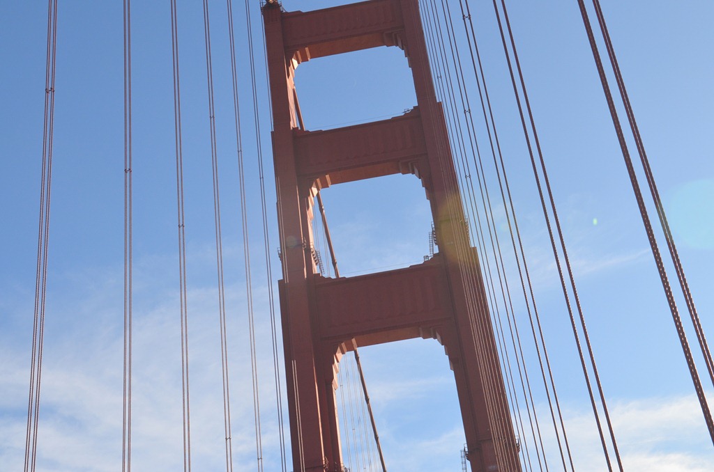 [Travelin%2520south_046%255B3%255D.jpg]