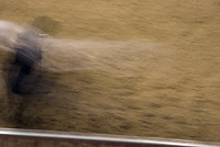BullFight.jpg BullFight.jpg