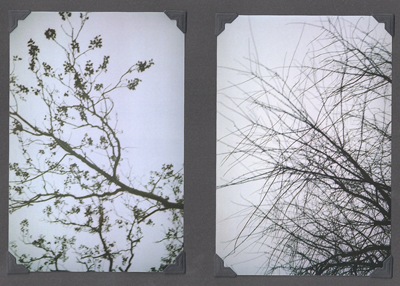 Scan-110914-0149