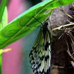 IMG_6292.jpg
